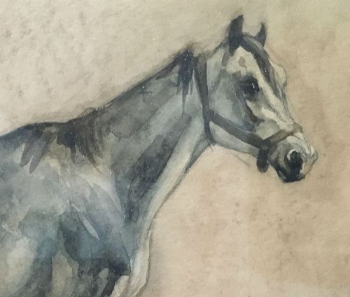 fig 4. Grey Horse - Antique Watercolour