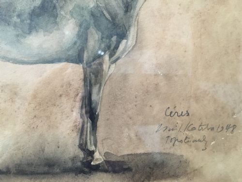 fig 5. Grey Horse - Antique Watercolour