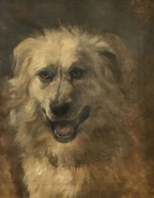 Potrait of a Dog - Antique Oil Painting