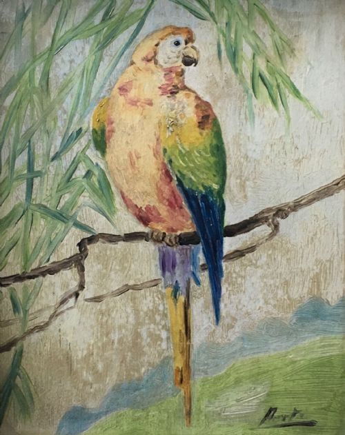 Parrot  on a Branch - Antique Oil on Panel