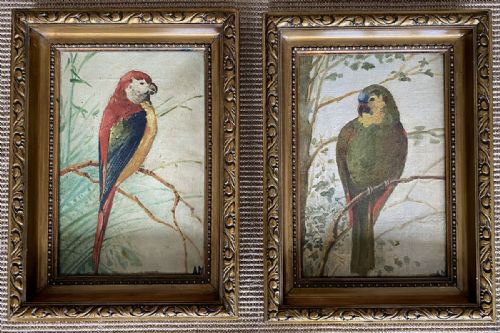 Pair of Parrots - Antique Oil Painting