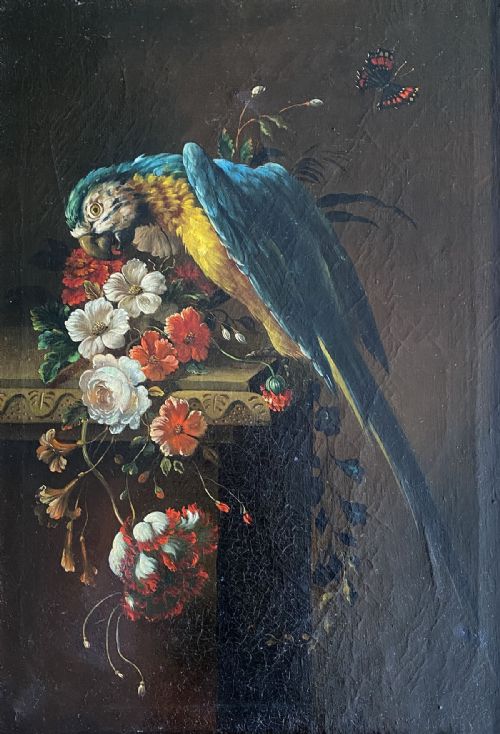 Parrot and Butterfly - Antique Oil Painting