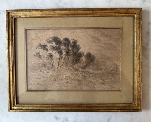 fig 2. Tree in a Landscape - 19th Century Drawing