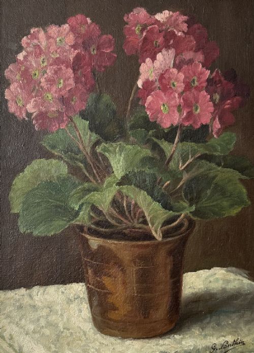 Polyathus in a Pot - Antique Oil Painting