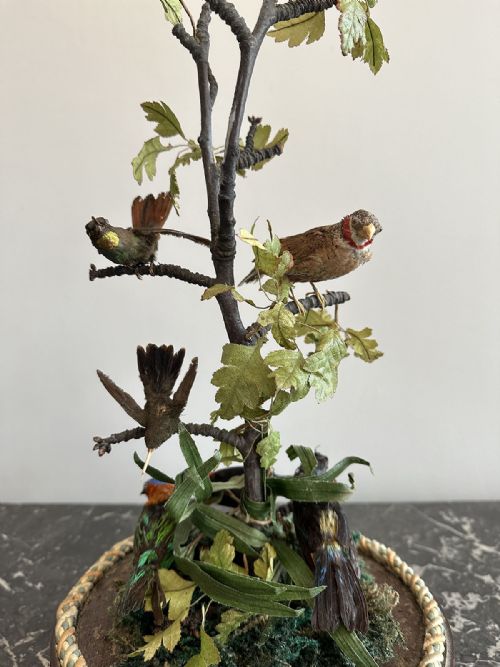COMPOSITION OF TAXIDERMY BIRDS - ADDITIONAL PHOTO 1
