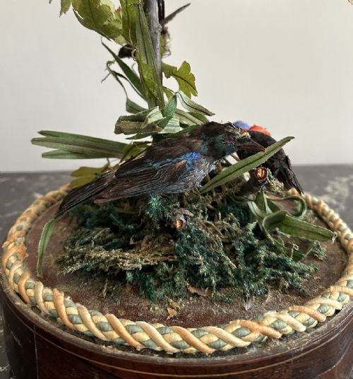 COMPOSITION OF TAXIDERMY BIRDS - ADDITIONAL PHOTO 3