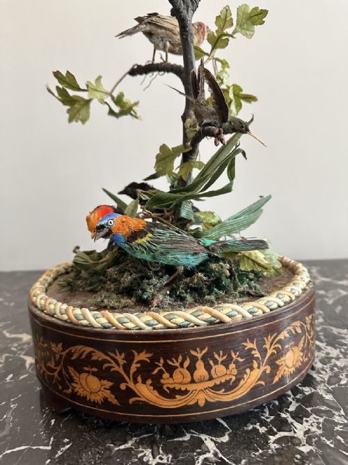 COMPOSITION OF TAXIDERMY BIRDS - ADDITIONAL PHOTO 4