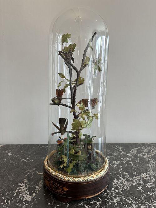 COMPOSITION OF TAXIDERMY BIRDS - ADDITIONAL PHOTO 7