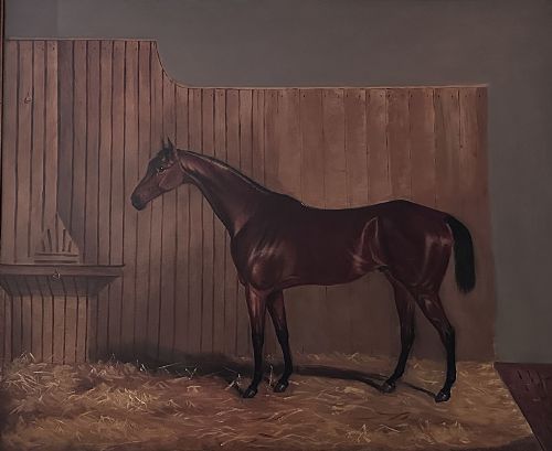 Portrait of a Racehorse