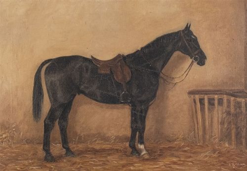 Portrait of a Black Horse - Antique Oil Painting