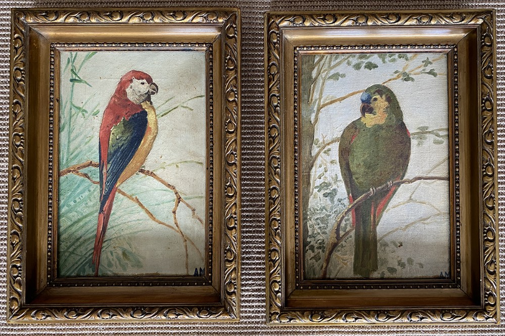 Pair of Parrots - Antique Oil Painting