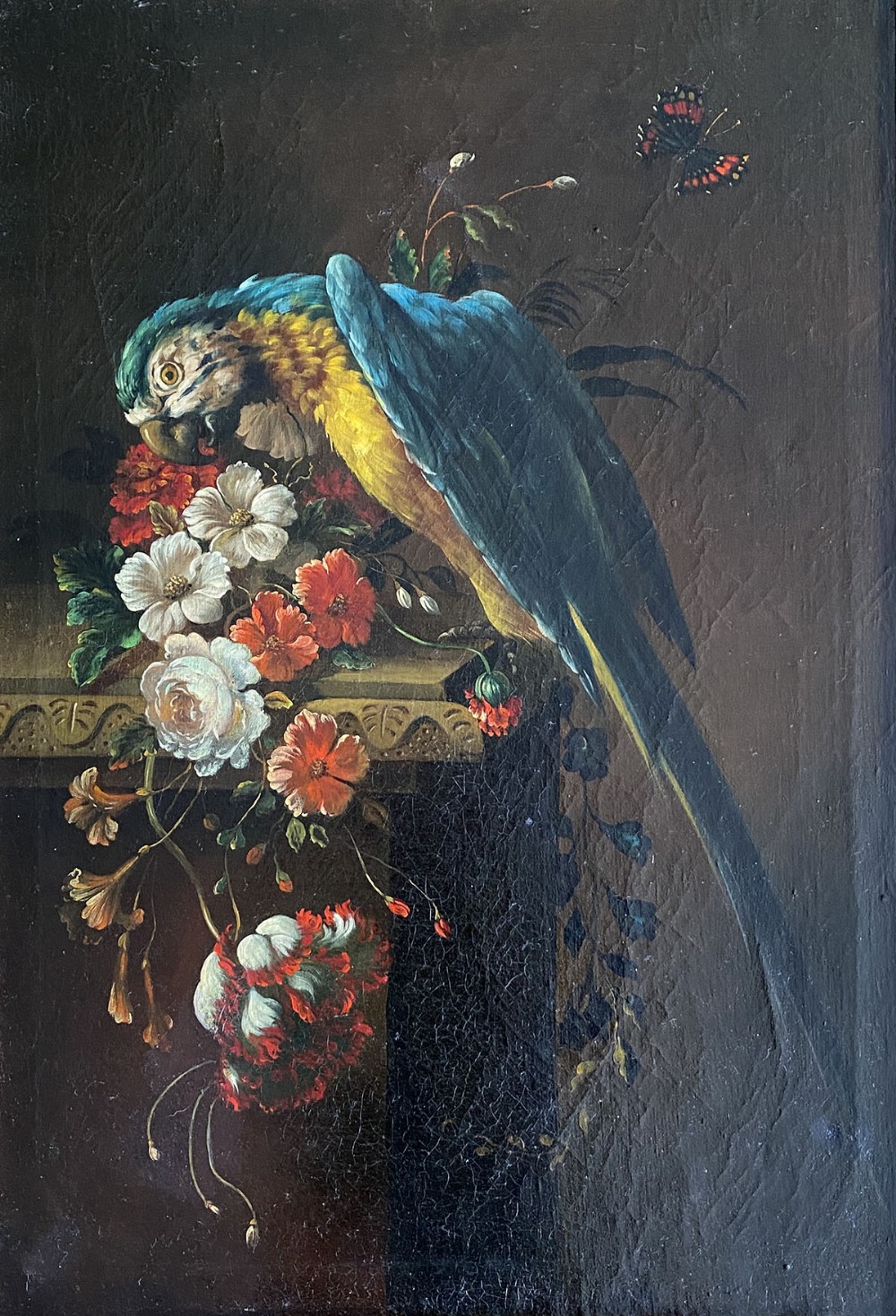 Parrot and Butterfly - Antique Oil Painting
