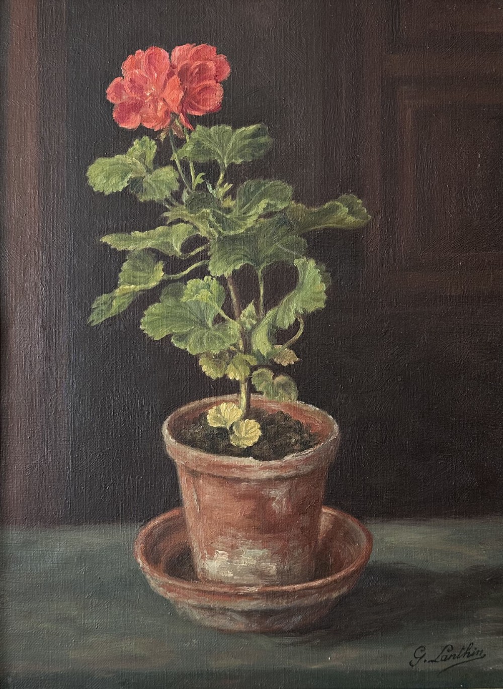 Geranium in a Pot - Antique Oil Painting
