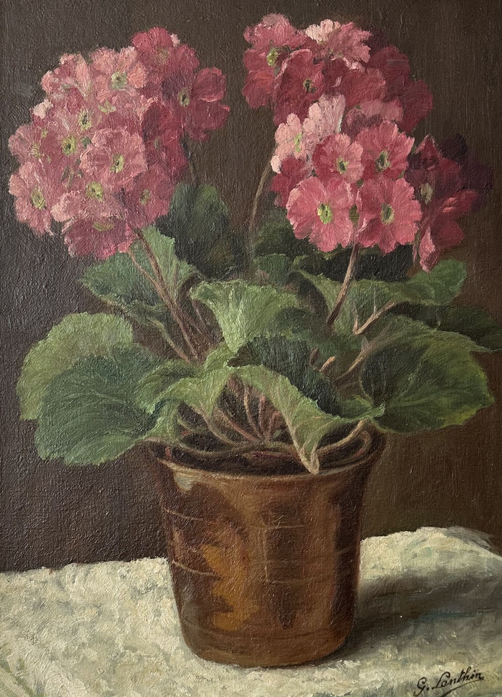Polyathus in a Pot - Antique Oil Painting