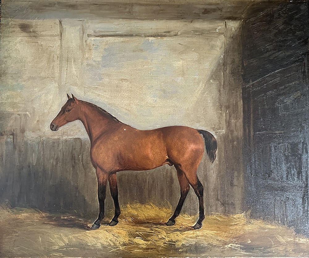 Portrait of a Bay Horse - Antique Oil Painting