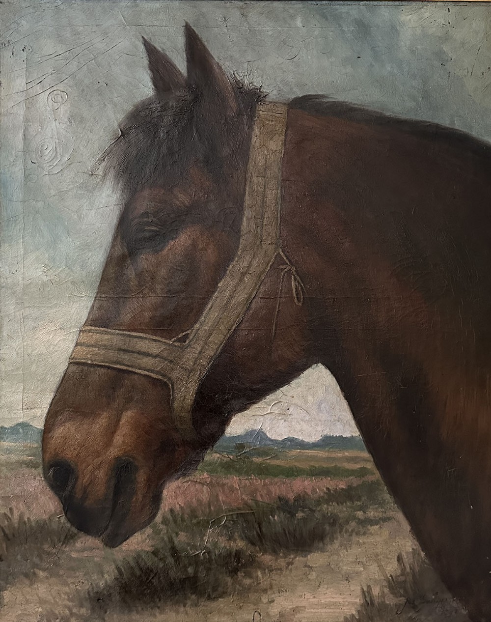 Portrait of a Bay Horse - Antique Oil Painting