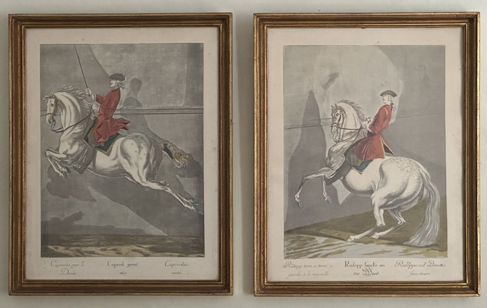 A pair of framed antique equestrian engravings depicting classical dressage riders on grey horses, set within narrow gilt wooden frames.