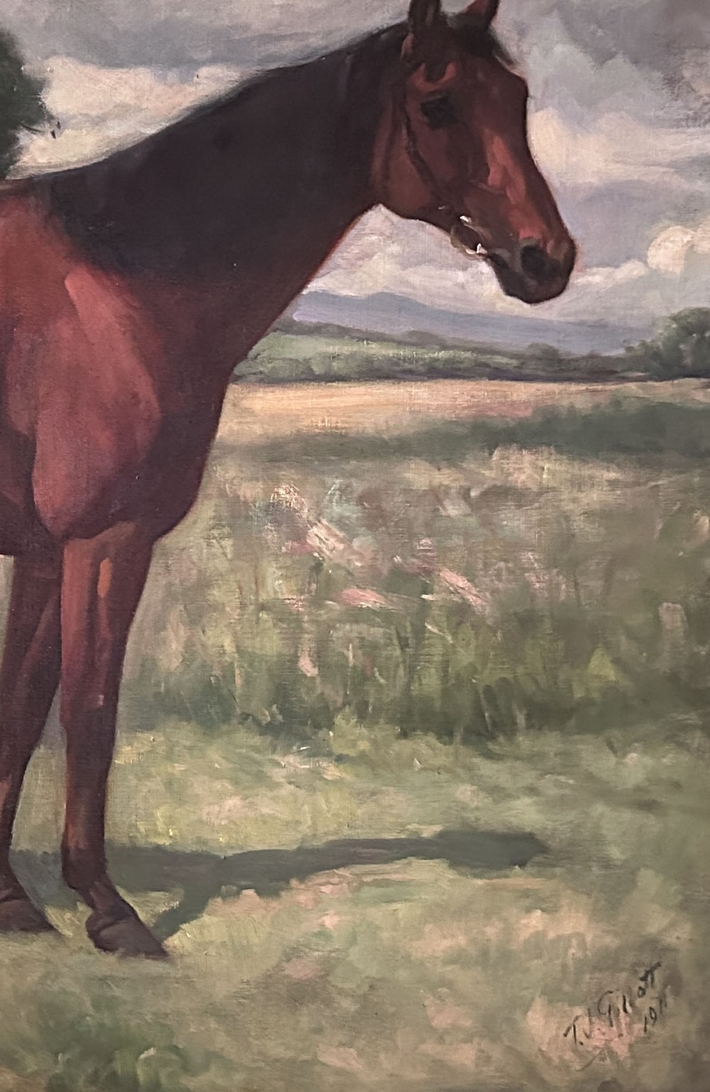 An antique oil painting depicting a profile view of a bay racehorse standing in a grassy field under a cloudy sky. View VI