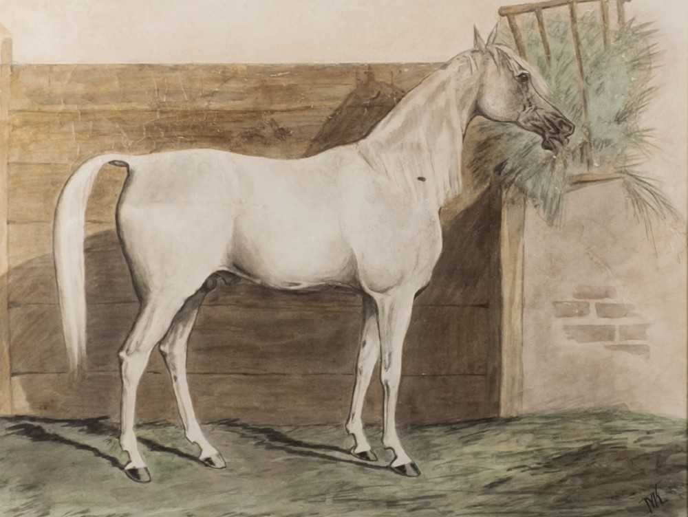 An antique watercolour painting depicting a grey horse standing in profile inside a wooden stable beside a hay rack.