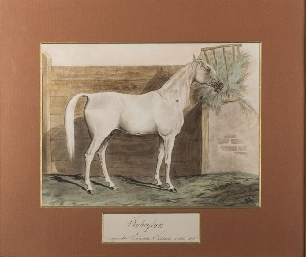 An antique watercolour painting depicting a grey horse standing in profile inside a wooden stable beside a hay rack. View II