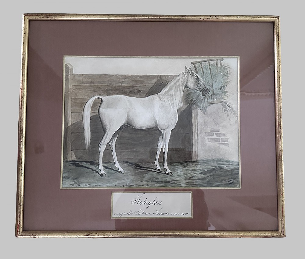 An antique watercolour painting depicting a grey horse standing in profile inside a wooden stable beside a hay rack. View III