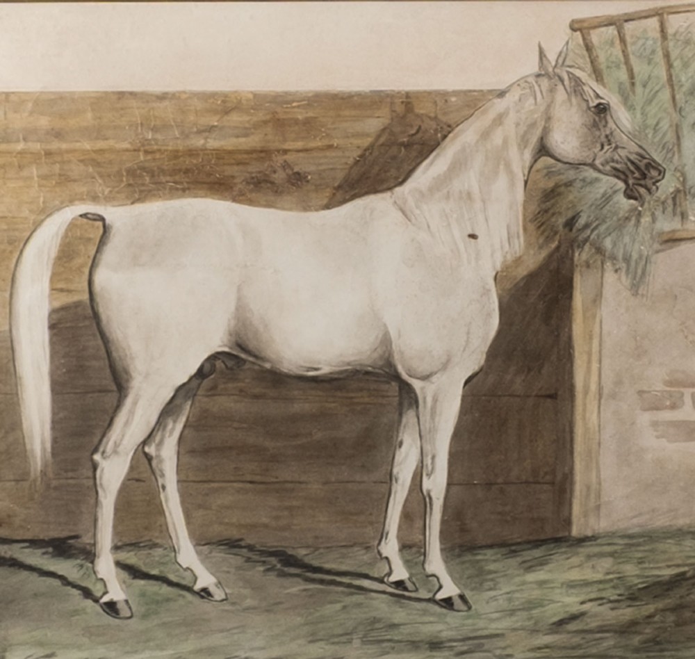 An antique watercolour painting depicting a grey horse standing in profile inside a wooden stable beside a hay rack. View IV