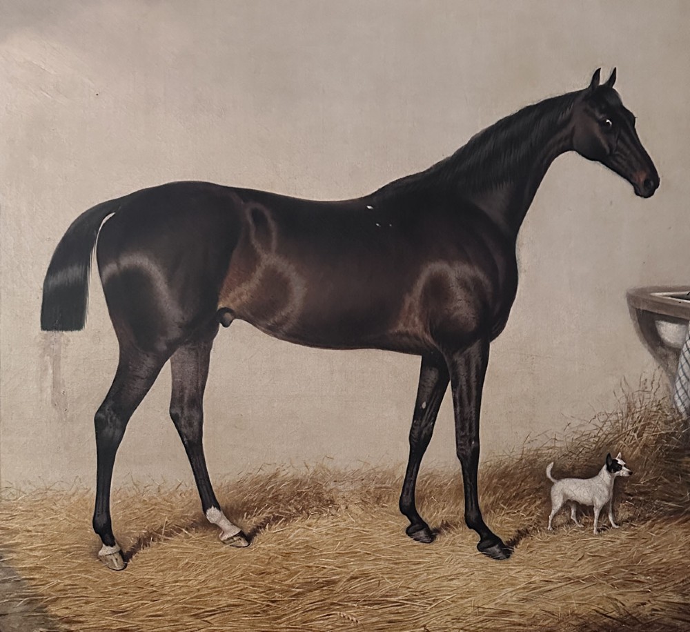 An antique oil painting depicting a dark bay horse standing inside a stable alongside a small terrier dog. View IV