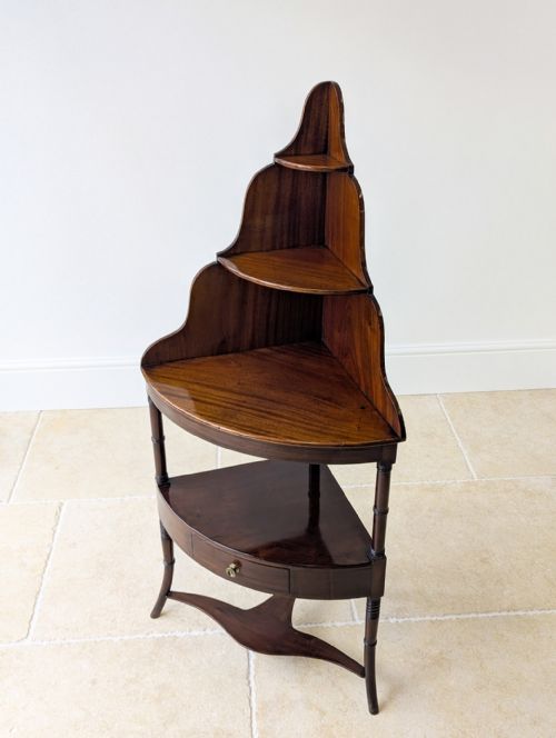 ANTIQUE REGENCY MAHOGANY TIERED CORNER STAND C1820 - ADDITIONAL PHOTO 9