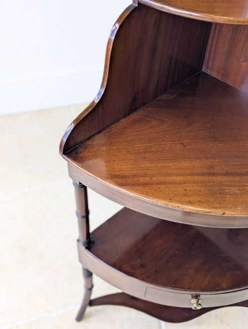 ANTIQUE REGENCY MAHOGANY TIERED CORNER STAND C1820 - ADDITIONAL PHOTO 10