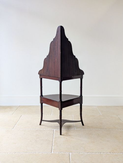 ANTIQUE REGENCY MAHOGANY TIERED CORNER STAND C1820 - ADDITIONAL PHOTO 13