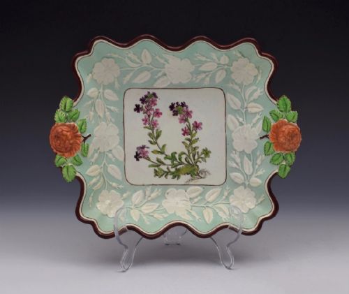 Georgian Ridgway Pearlware Botanical Dish Alpine Erinus C.1800