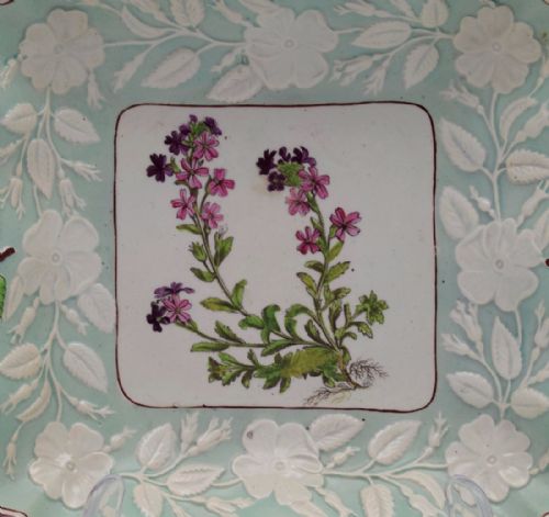 fig 1. Georgian Ridgway Pearlware Botanical Dish Alpine Erinus c.1800