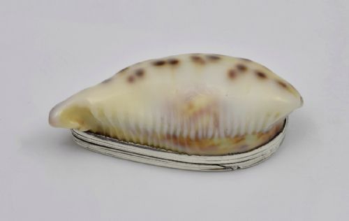 Georgian Silver Mounted Cowrie Shell Snuff Box C.1810