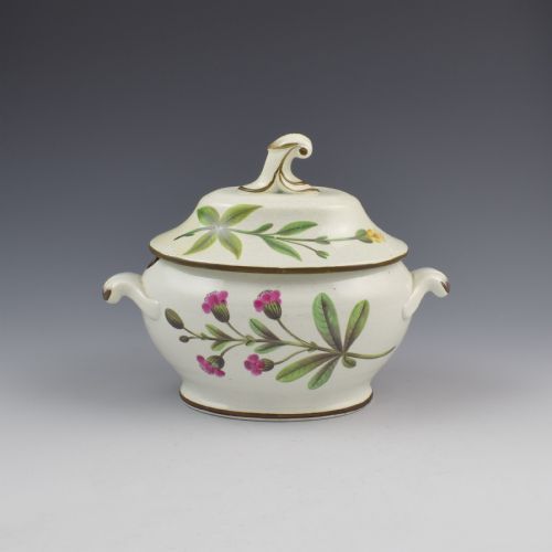 Swansea Pearlware Botanical Sauce Tureen C.1810 B