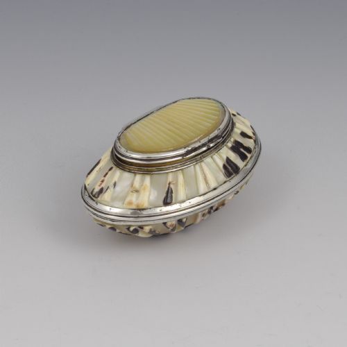 Fine Georgian Carved Cowrie Shell & Silver Snuff Box C.1800