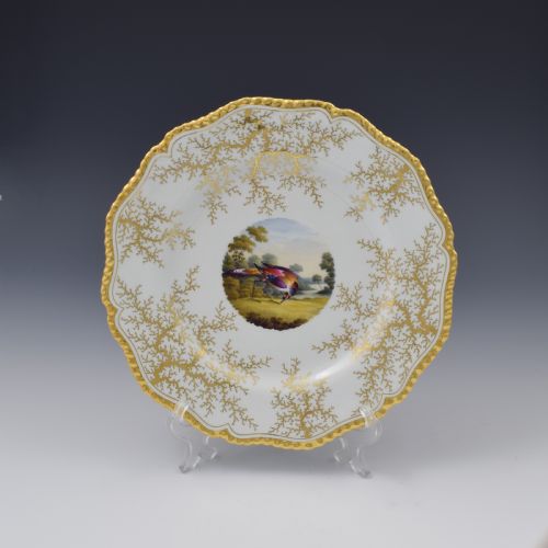 Flight Barr & Barr Worcester Porcelain Fancy Bird Dessert Plate C.1815