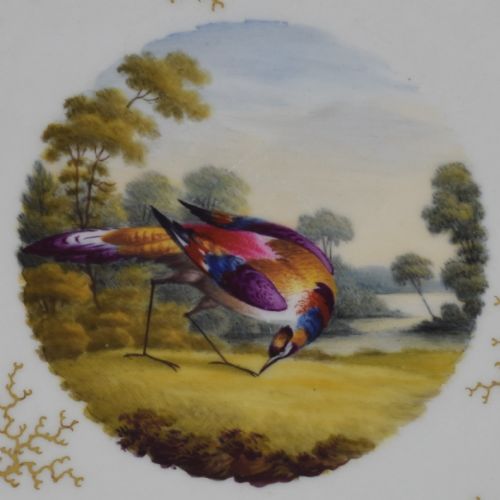 fig 1. Flight Barr & Barr Worcester Porcelain Fancy Bird Dessert Plate c.1815