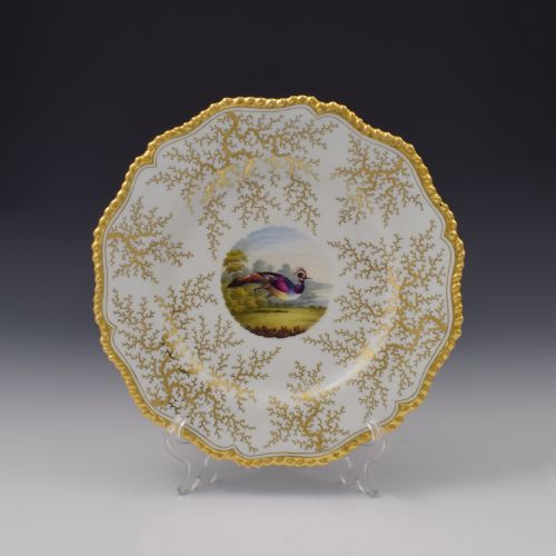 Flight Barr & Barr Worcester Porcelain Fancy Bird Dessert Plate C.1815