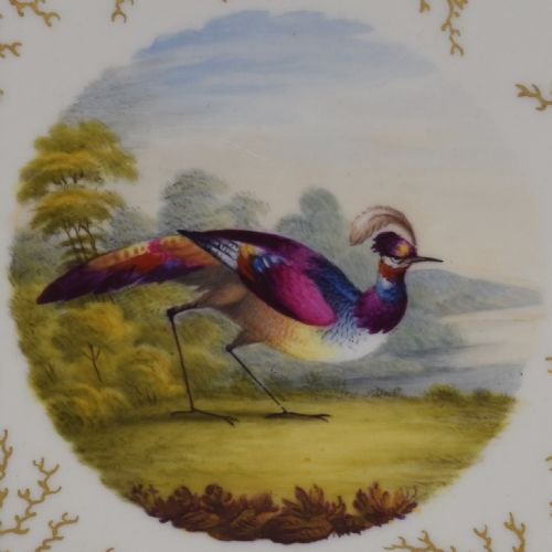 fig 1. Flight Barr & Barr Worcester Porcelain Fancy Bird Dessert Plate c.1815