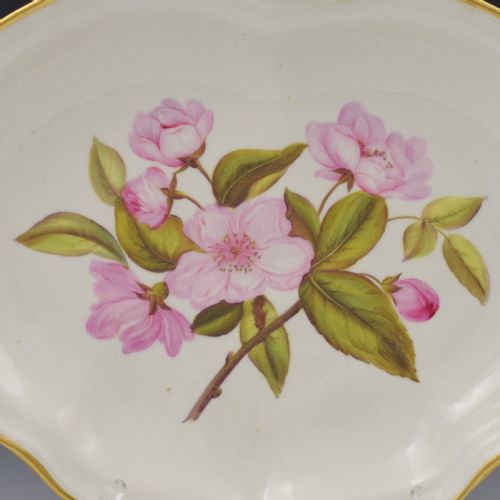 fig 1. Derby Porcelain Botanical Compotier Dessert Dish Chinese Apple Blossom c.1806