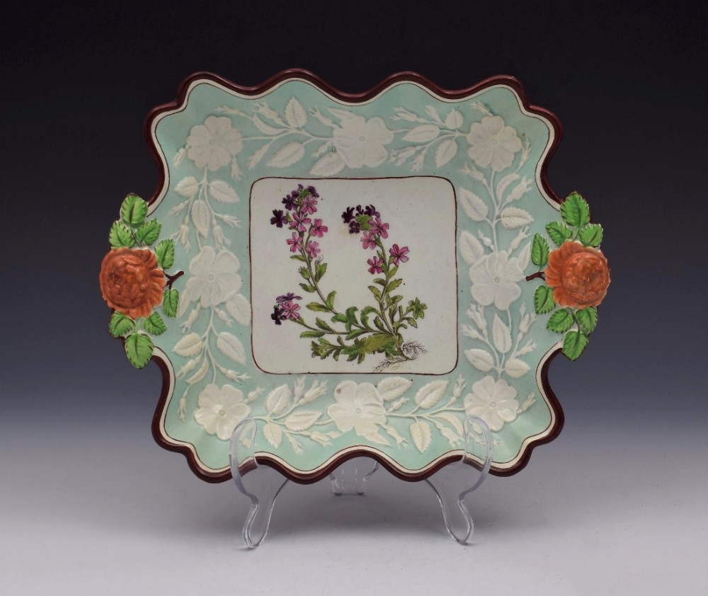 Georgian Ridgway Pearlware Botanical Dish Alpine Erinus c.1800