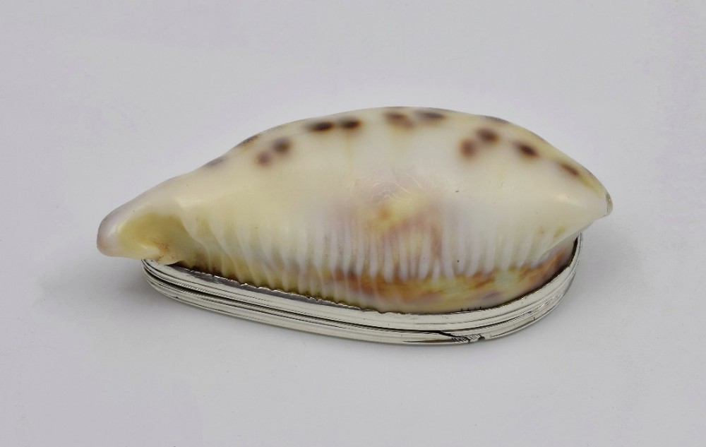 Georgian Silver Mounted Cowrie Shell Snuff Box c.1810