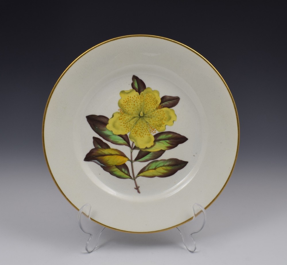 Derby Porcelain Botanical Dessert Plate c.1806 Curtis St John's Wort