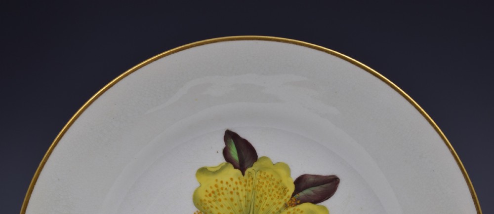 Derby Porcelain Botanical Dessert Plate c.1806 Curtis St John's Wort View III