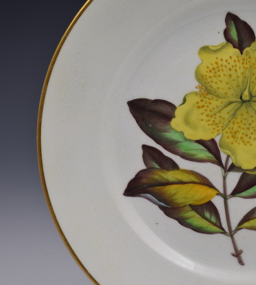 Derby Porcelain Botanical Dessert Plate c.1806 Curtis St John's Wort View VI