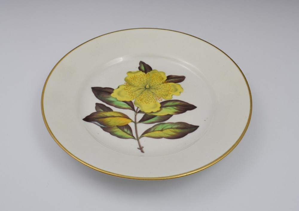 Derby Porcelain Botanical Dessert Plate c.1806 Curtis St John's Wort View VII