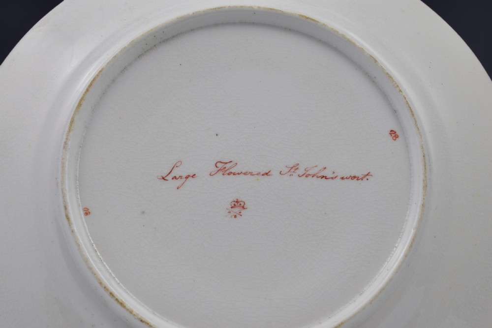 Derby Porcelain Botanical Dessert Plate c.1806 Curtis St John's Wort View IX