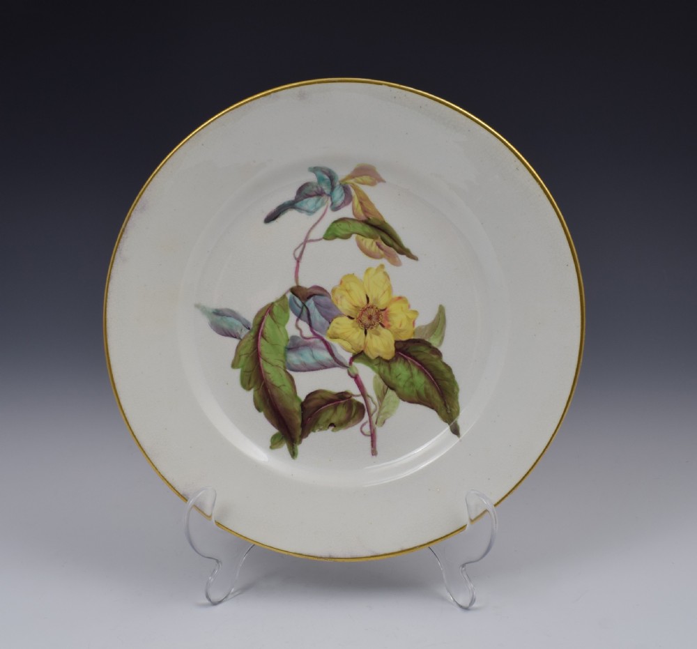 Derby Porcelain Botanical Dessert Plate c.1806 Toothed Leaved Hibbertia