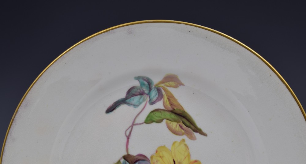 Derby Porcelain Botanical Dessert Plate c.1806 Toothed Leaved Hibbertia View III