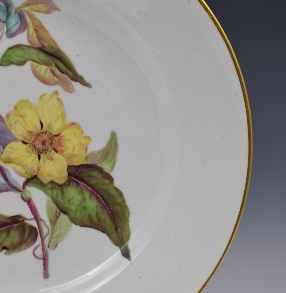 Derby Porcelain Botanical Dessert Plate c.1806 Toothed Leaved Hibbertia View IV